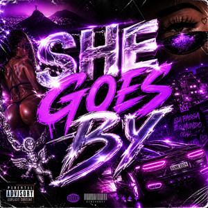 DJ JL DE BAIXO GUANDU - SHE GOES BY