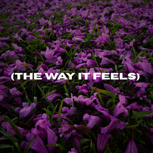 The Way It Feels by Subtle Smiles