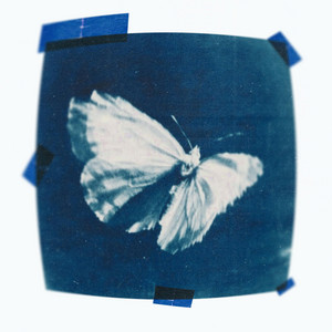 leaves by poems