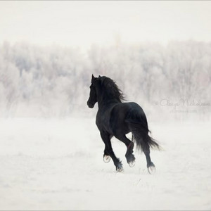 Jaded by evay