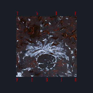 FURIO by Tare