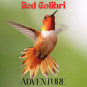 Through the Wild by Red Colibri