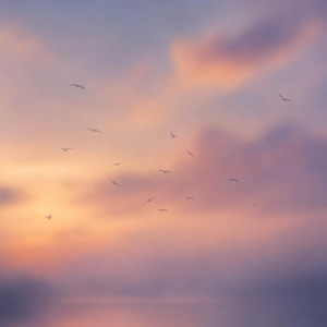 A Quiet Sky of Birds by Veldt Echoes
