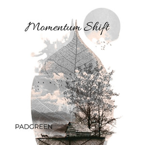 Momentum Shift by PADGREEN