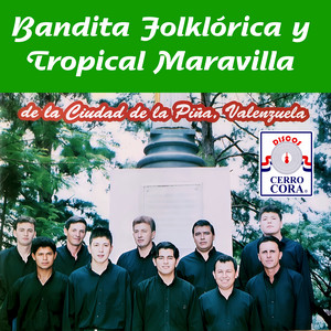Banda Maravilla - PÁGINA DE AMIGOS
