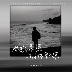 你若不疼不爱我就不理不睬(DJ德朋版)