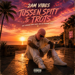 Kom alsjeblieft niet meer terug by 2AM Vibes