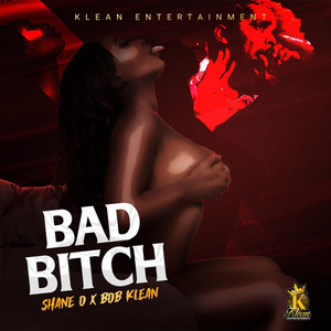 Bad Bitch by Shane O, Bob Klean