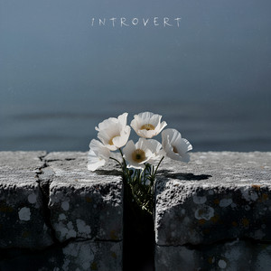 Цветок, так я тебя называю by Introvert