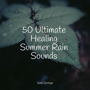 50 Ultimate Healing Summer Rain Sounds album