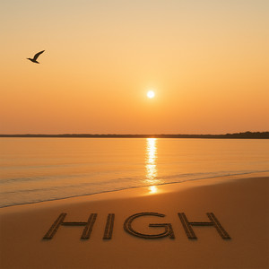 High by Lost Strangers, Shanielle Roy