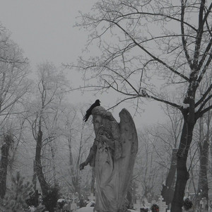 Entre Luces Y Tragos