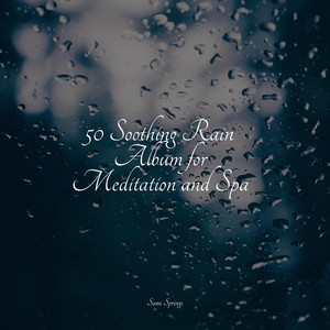 50 Soothing Rain Album for Meditation and Spa album