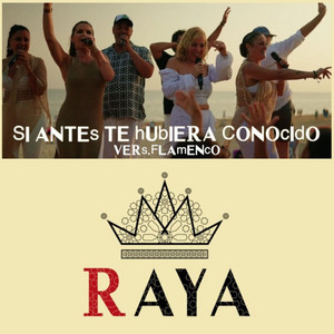 Si Antes Te Hubiera Conocido (Versión Flamenco)