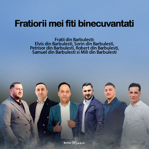 Elvis din Barbulesti & Sorin din Barbulesti - Fratiorii mei fiti binecuvantati (feat. Petrisor din Barbulesti, Robert Din Barbulesti, Samuel din Barbulesti & Mili din Barbulesti)