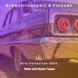 BF3/BF4 Nick - Schwertransport (1)