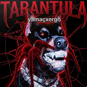 TARANTULA by Ergo, yamaç