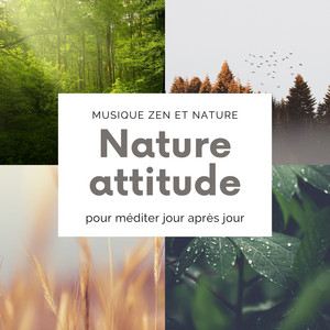 Nature attitude - Musique zen et nature pour