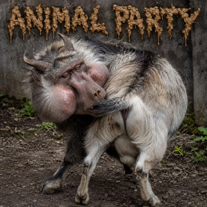 Monkeygoat Smelling His Own Ass by Animal Party