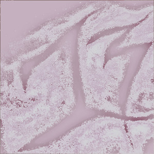 Porcelana rosa