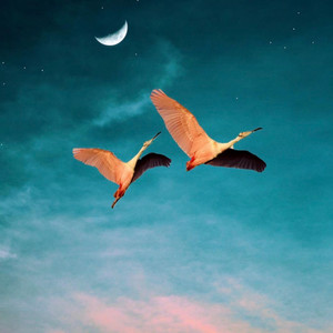 Gönlümde Sensin by EDA MORDENİZ