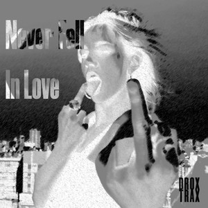 Never Fell In Love by War DEN