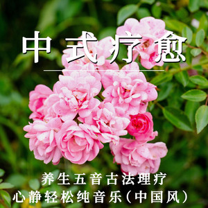 中式疗愈 养生五音古法理疗心静轻松纯音乐（中国风）