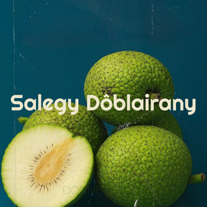 Donne Bezafy - Salegy Dôblairany
