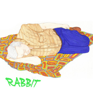 The MOON by Rabbit