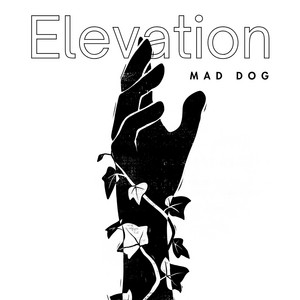 Mad Dog — Elevation