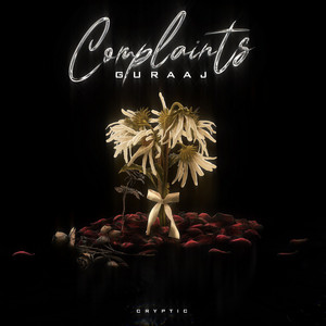 Complaints by Guraaj, Cryptic