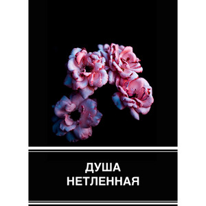 ДУША НЕТЛЕННАЯ by Павел Цуман