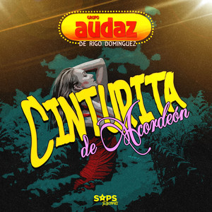 Cinturita de Acordeón