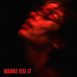 Wanna Feel It by Enrapt