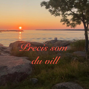 Precis som du vill by Kzzta