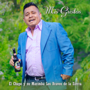 El Chapo y su Marimba los Bravos de la Sierra - Mis Gustos