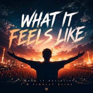 What It Feels Like by Böbbi
