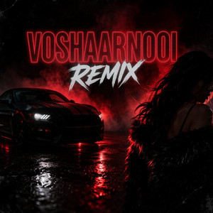 VOSHAARNOOI - Special Version