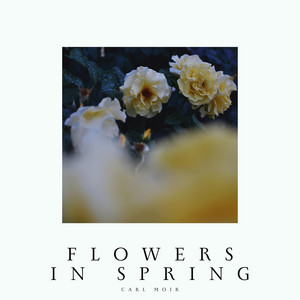 Flowers In Spring by Carl Moir