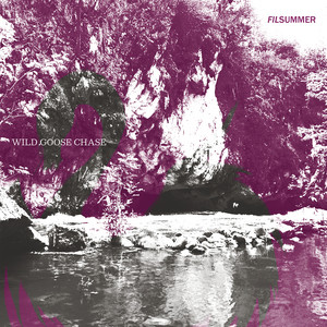 Wild Goose Chase by Filsummer