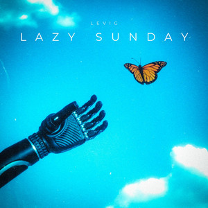 Lazy Sunday by LEVIG