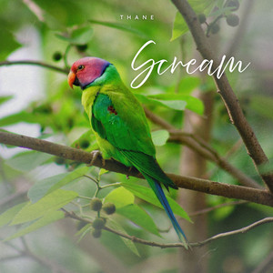 Scream - Radio Edit by Thane