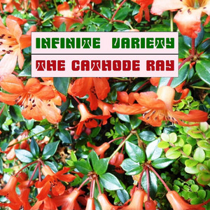 Torn Apart by The Cathode Ray