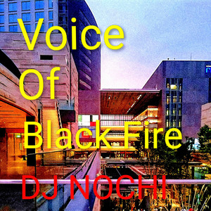Voice Of Black Fire