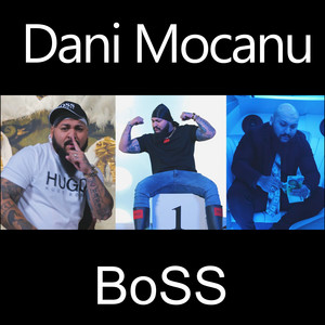 Dani Mocanu - Boss