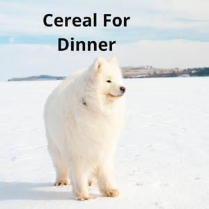 Cereal For Dinner by Sendakure