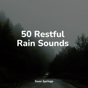 50 Restful Rain Sounds album