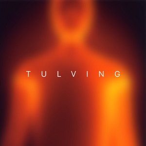 Forest Dawn by Tulving