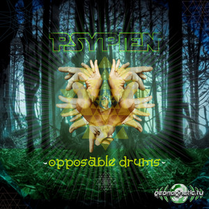 Elephants (Psychedelic Trance Mix) - song and lyrics by Psypien ...