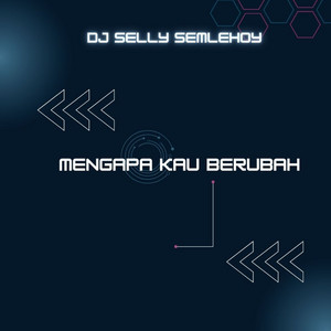 DJ Selly Semlehoy - Mengapa Kau Berubah